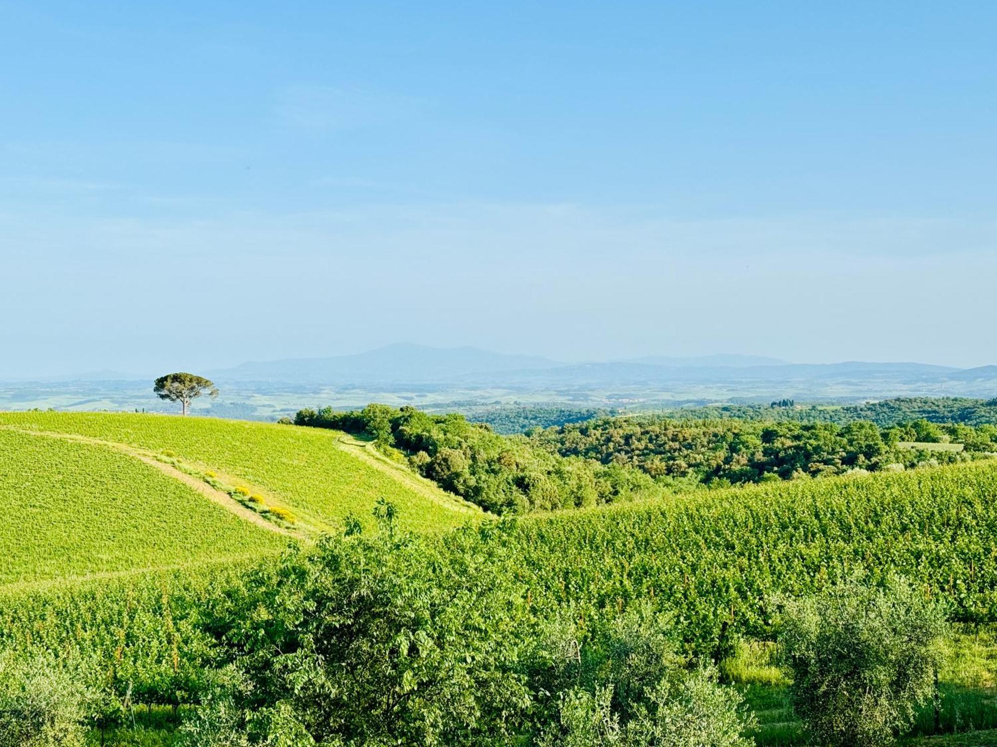 Libertas Tuscan Hideaway San Sano Eksteriør bilde