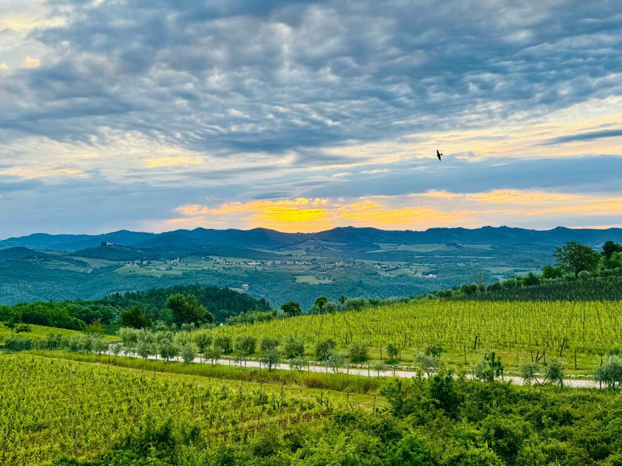 Libertas Tuscan Hideaway San Sano Eksteriør bilde